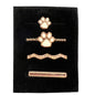 4 Piece Rose Gold Paw Print Watch Band Charm Set